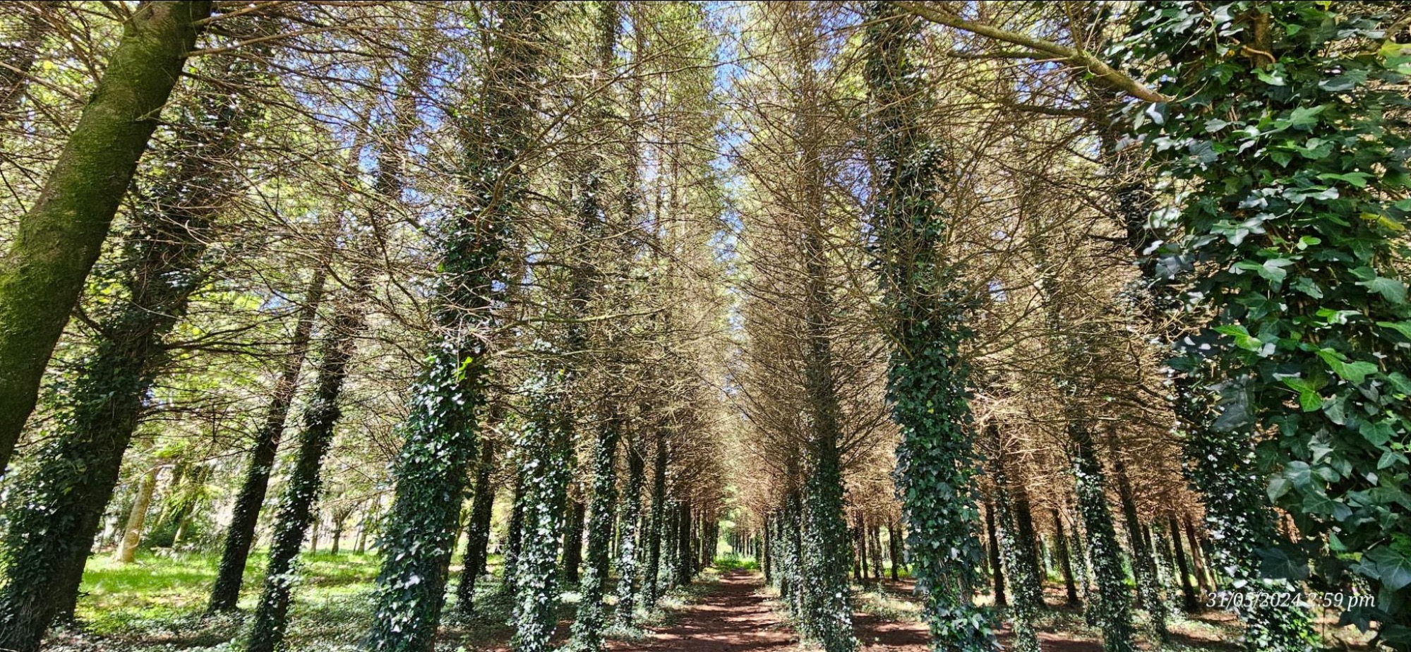 image4