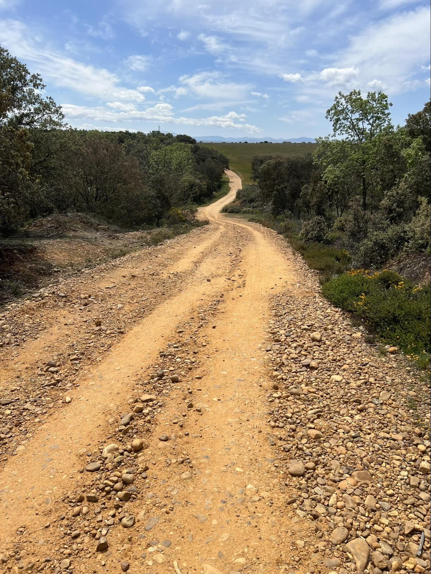 image6